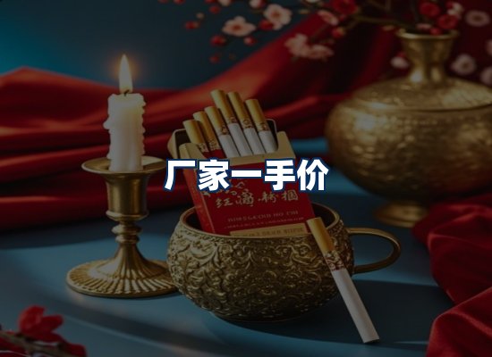 专业团队办公环境